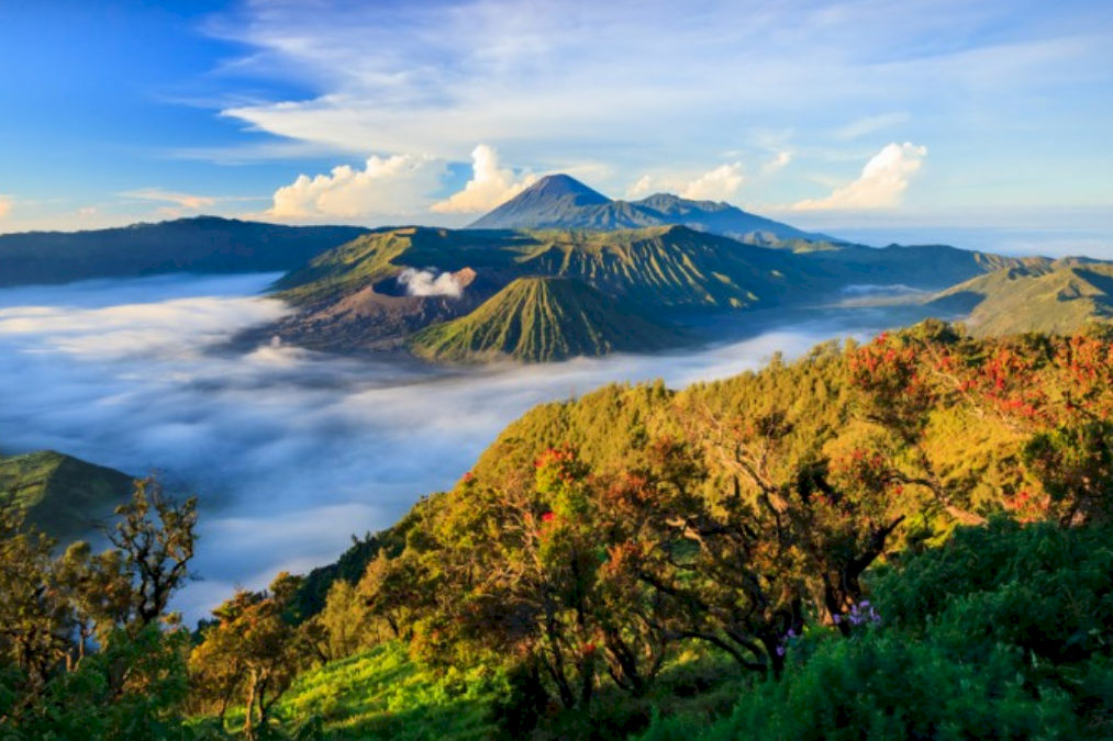 Exploring the Enigmatic Depths of Mount Bromo